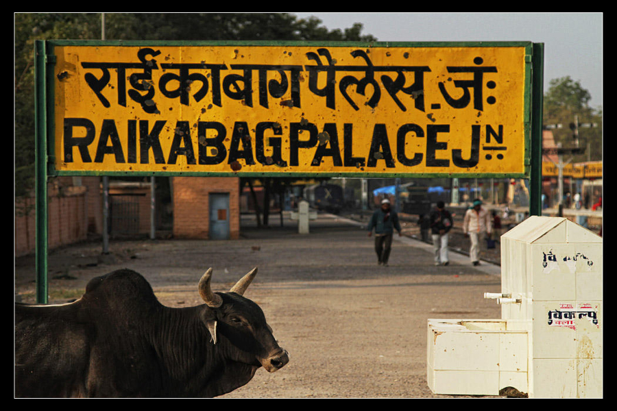 Self Drive Taxi Rental Near Raika Bagh Station Jodhpur